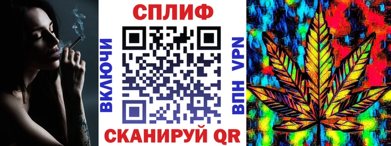 Купить наркотики цена Дигора ссылка на мегу рабочий сайт  Меф мяу мяу  COCAIN 