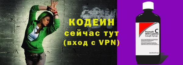 скорость Ельня