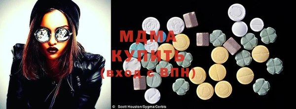 индика Дмитриев