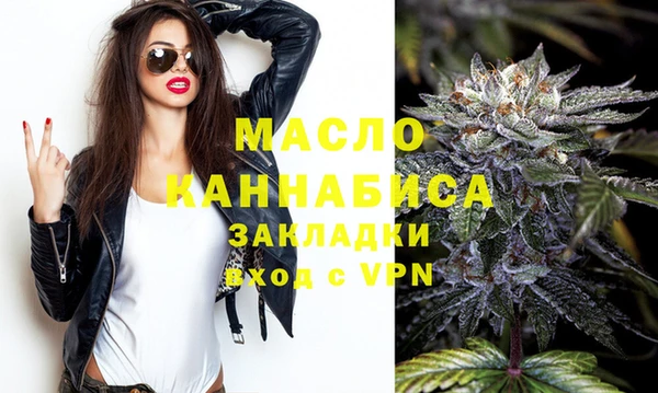 индика Дмитриев