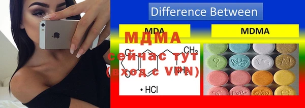 индика Дмитриев