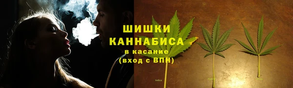 скорость Ельня