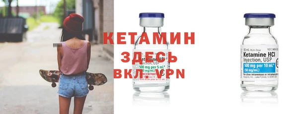 индика Дмитриев