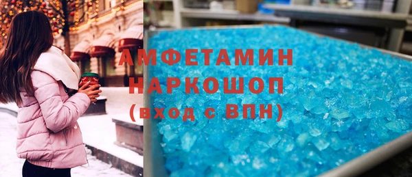 индика Дмитриев