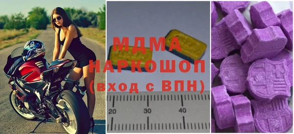индика Дмитриев