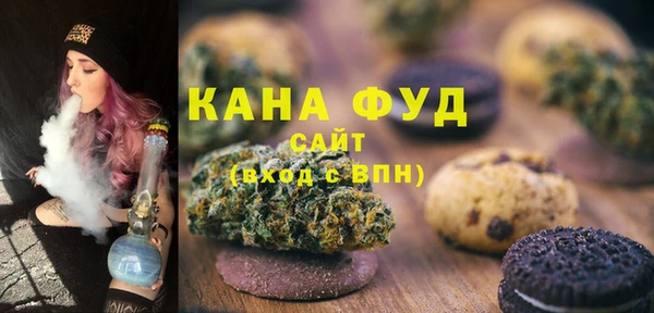 индика Дмитриев