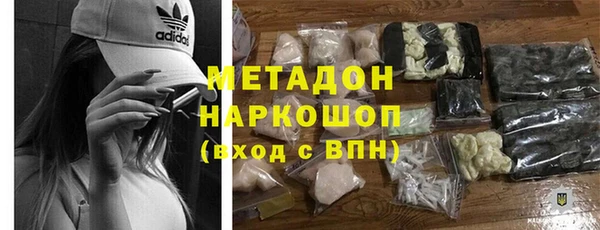индика Дмитриев