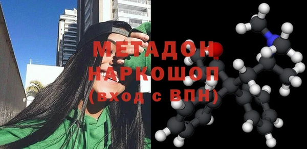 индика Дмитриев